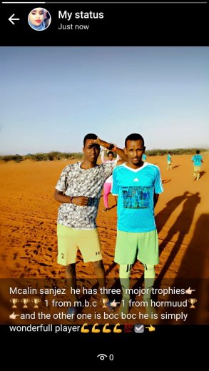 Abdi wali
