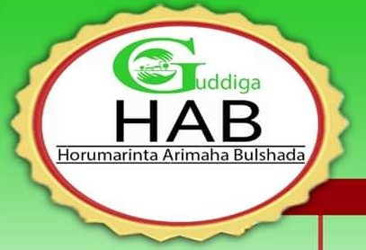 Ibraahim Ahmed ducaale