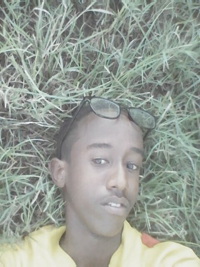 Xamse perperawi