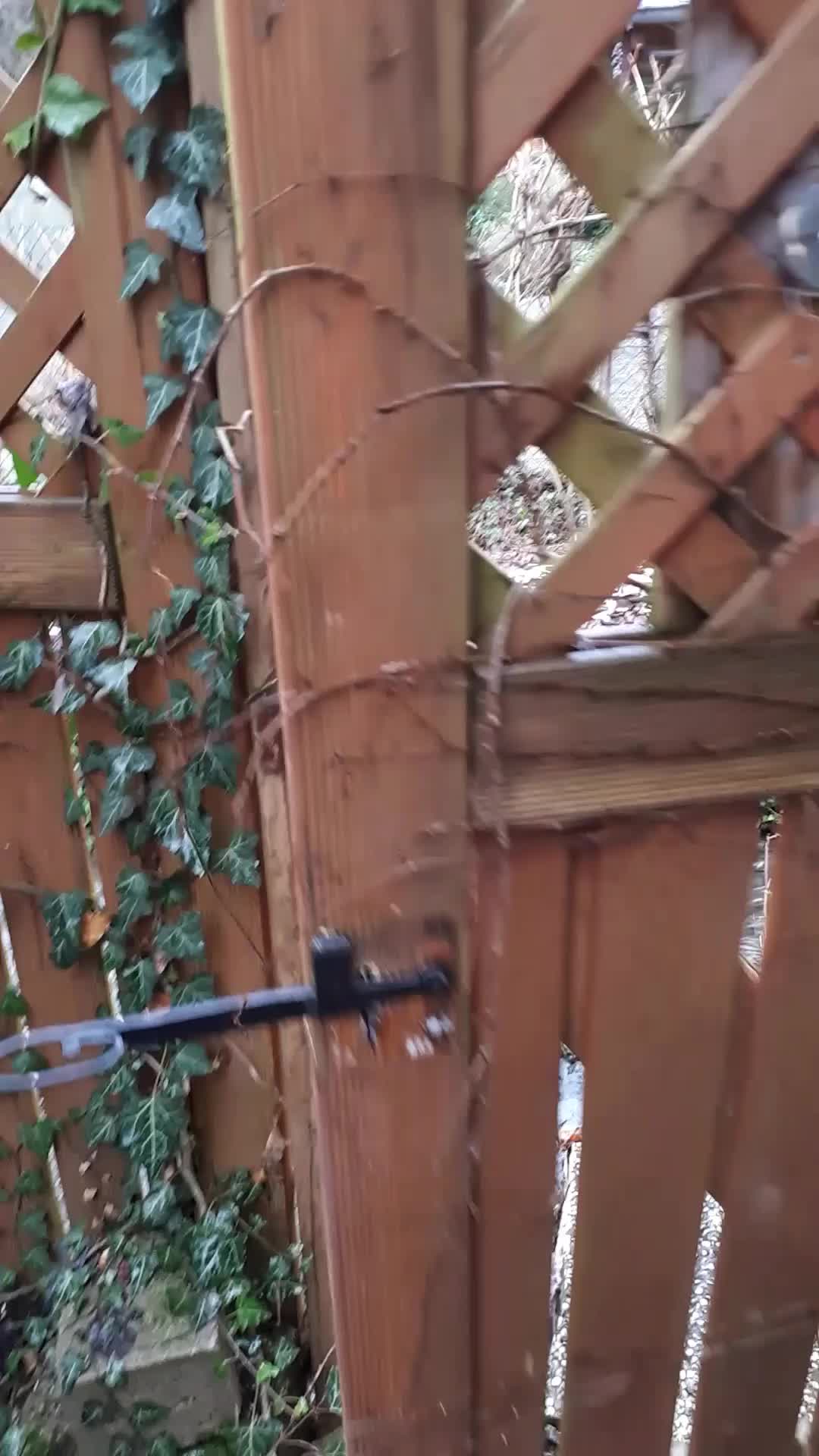 Klapp_Trim